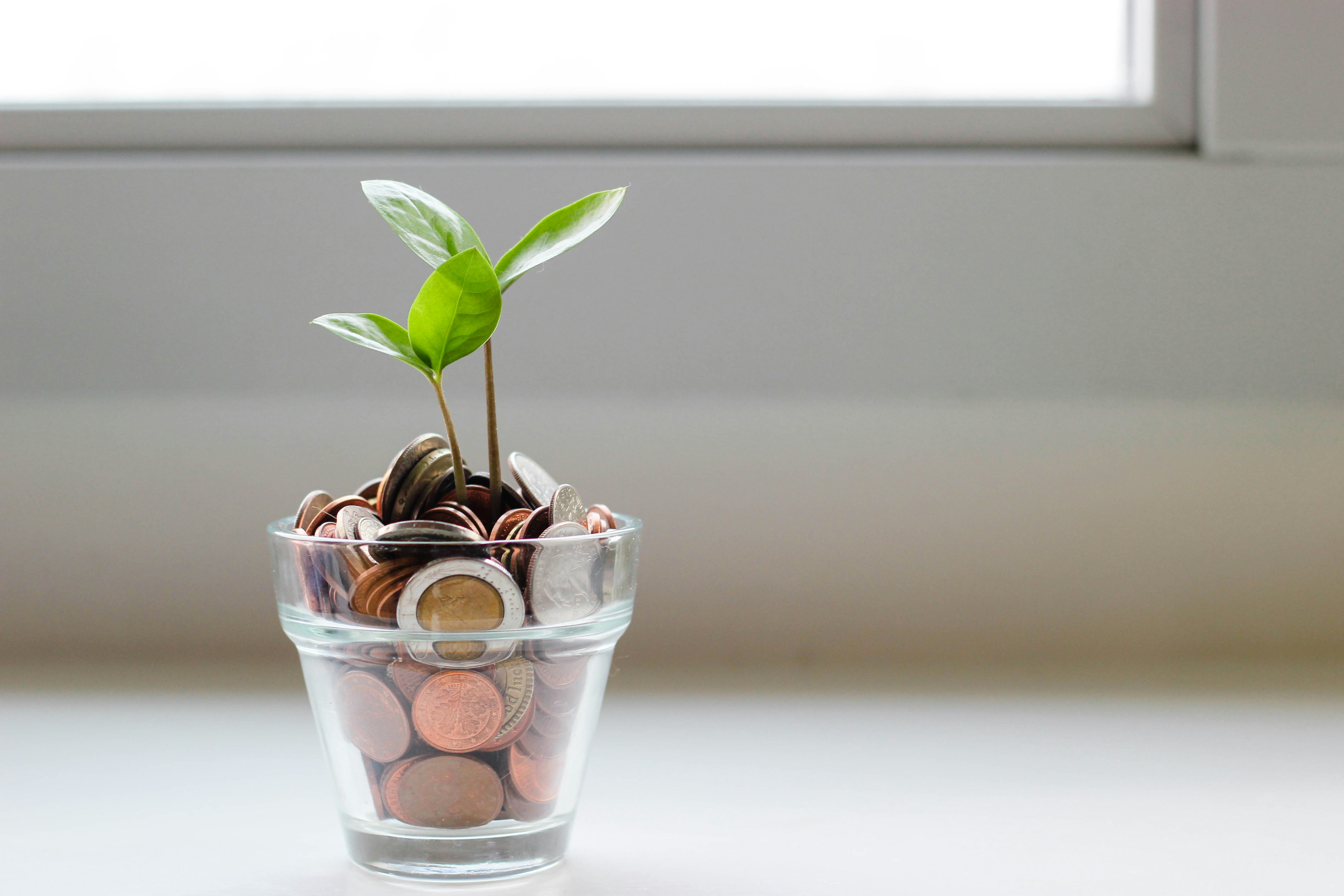 High-yield savings accounts vs. traditional savings accounts